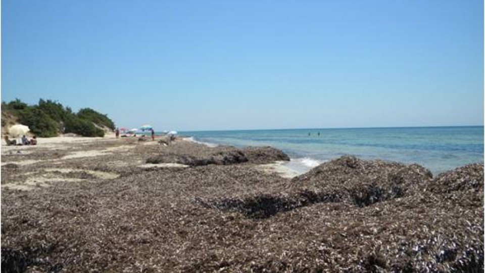 progetto prime-ispa-cnr-istituto-scienze-produzioni-alimentari