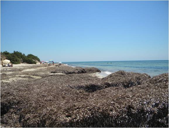 progetto prime-ispa-cnr-istituto-scienze-produzioni-alimentari