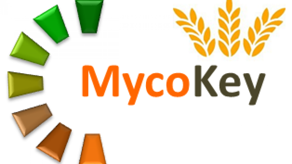 Mycokey_ISPA