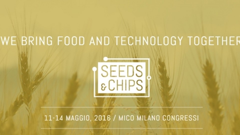 Banner Seed_chips