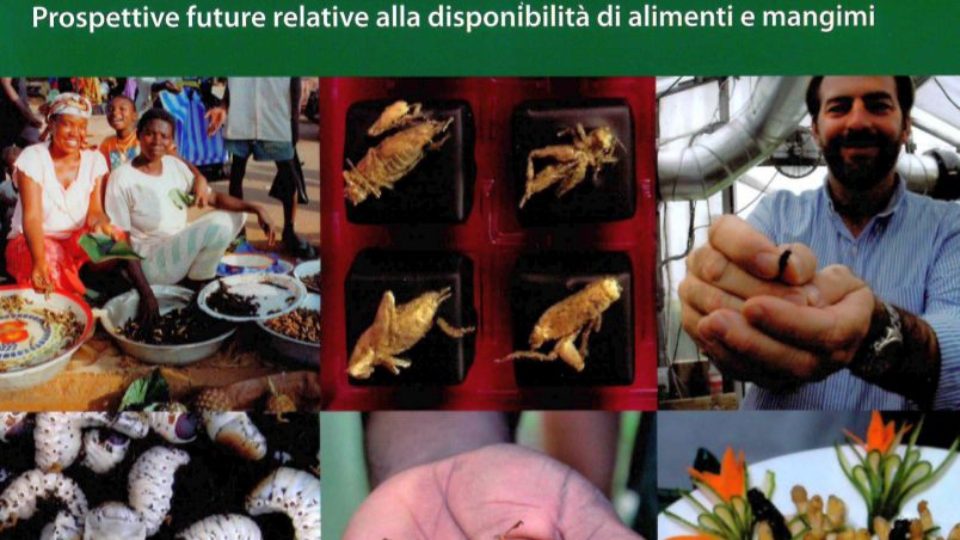 COPERTINA LIBRO INSETTI_banner