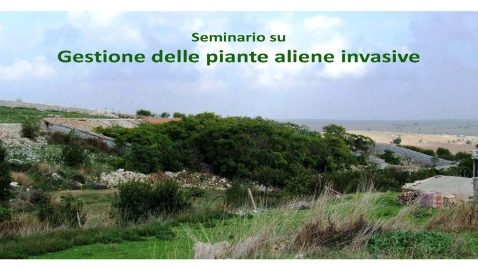 Locandina seminario gestione piante invasive_Pagina_1