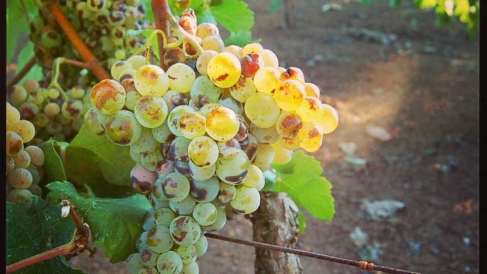 instagramcapture_d44e24a1-b6d4-4647-8c53-cf884e367fcb_jpg