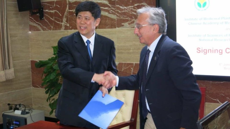 shake hands implad agreement