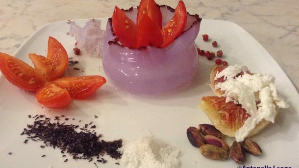 Rhzostoma dish-1.tif