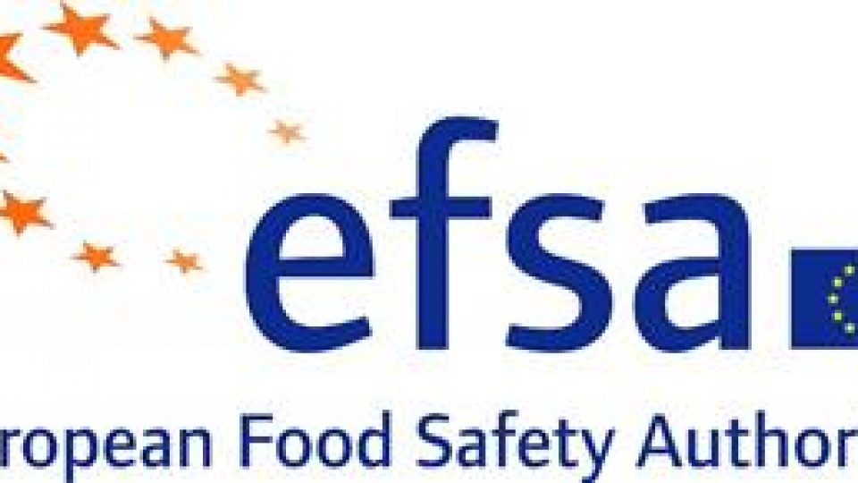Logo Efsa