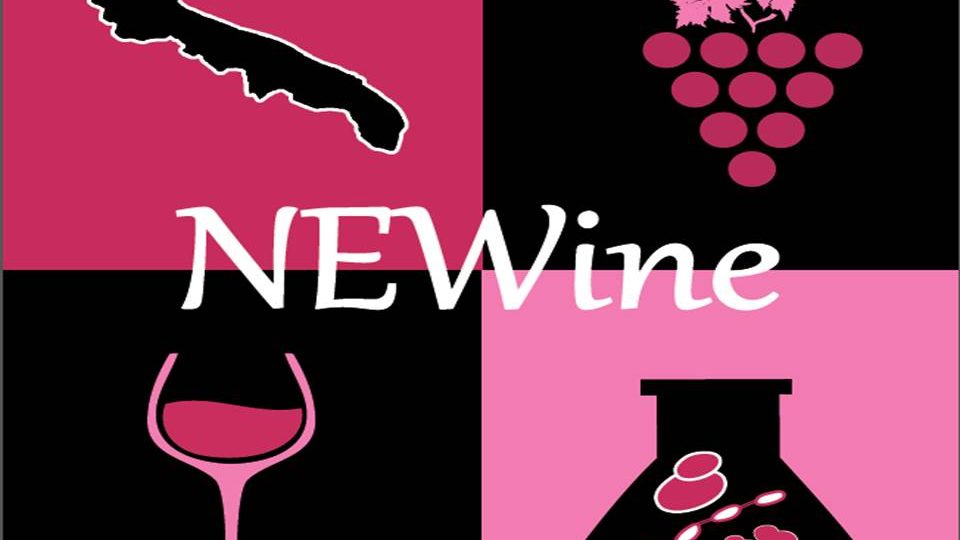 Presentazione standard1