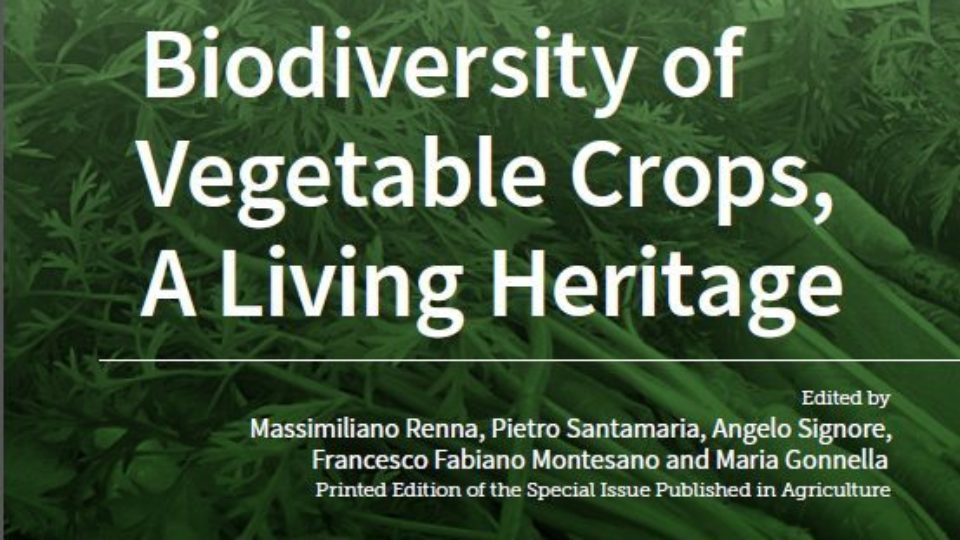 Immagine-e-book-MDPI-553×386