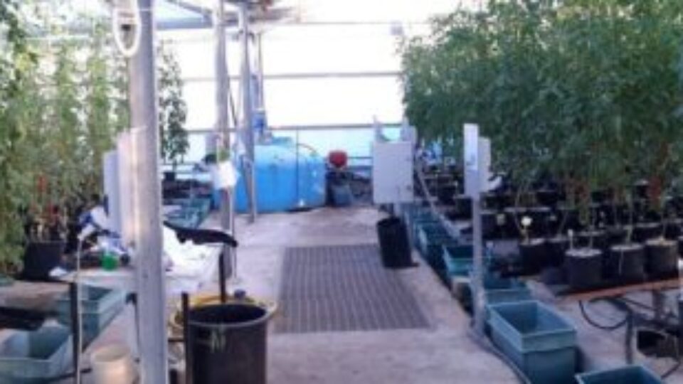 convegno1012seriodimperio