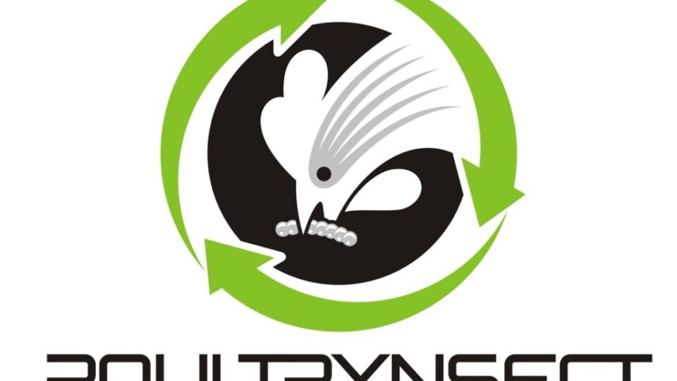 Esecutivo Logo Poultrynsect