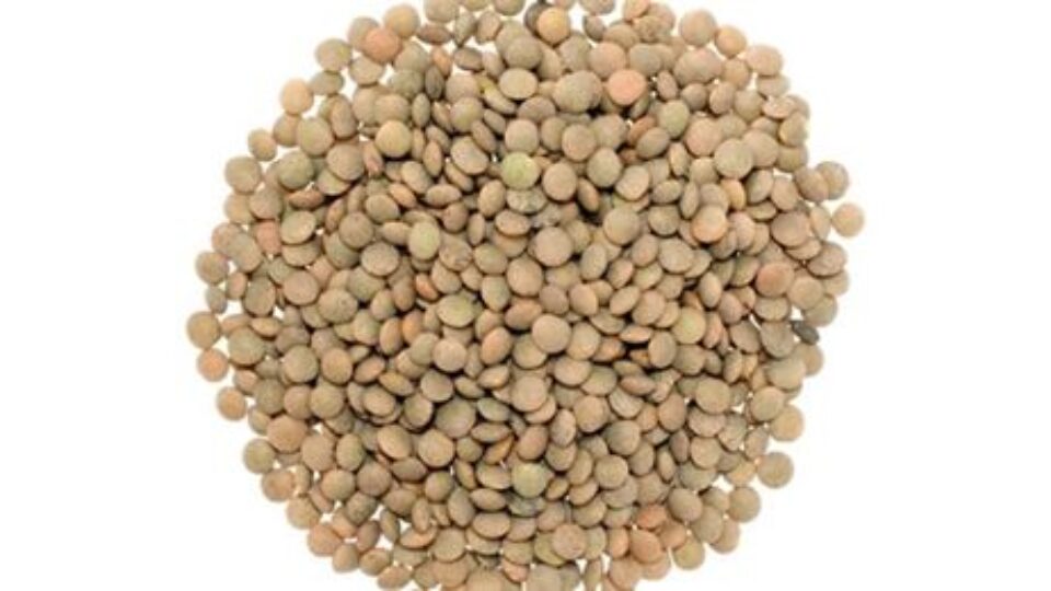lenticchie baruzziane
