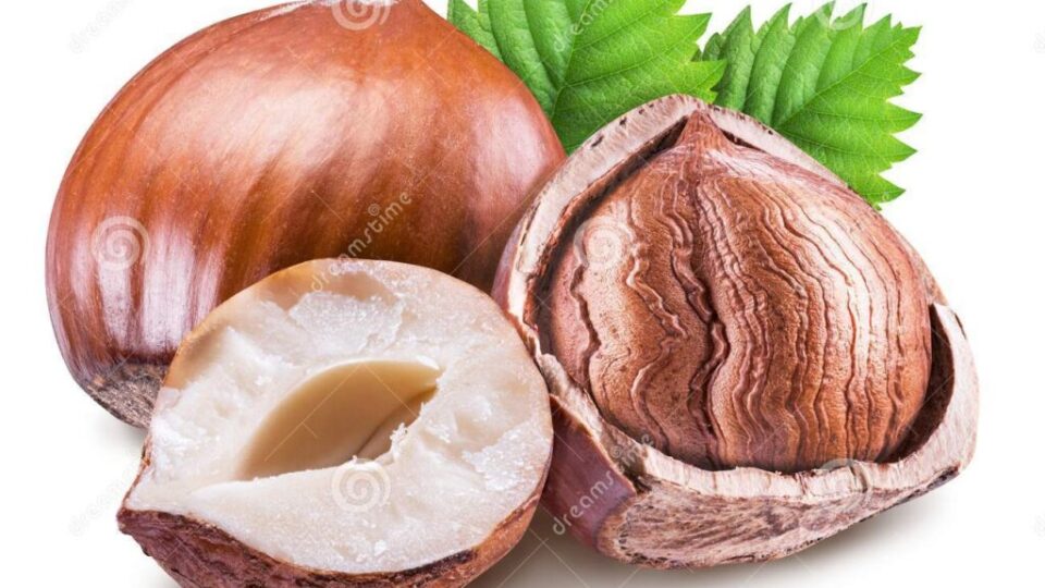nocciole-nocciolo-della-nocciola-e-foglie-verdi-percorso-di-ritaglio-113442612