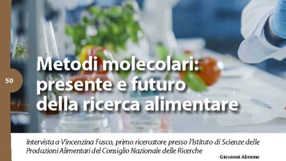 49-56-LAB[38851]_Pagina_2