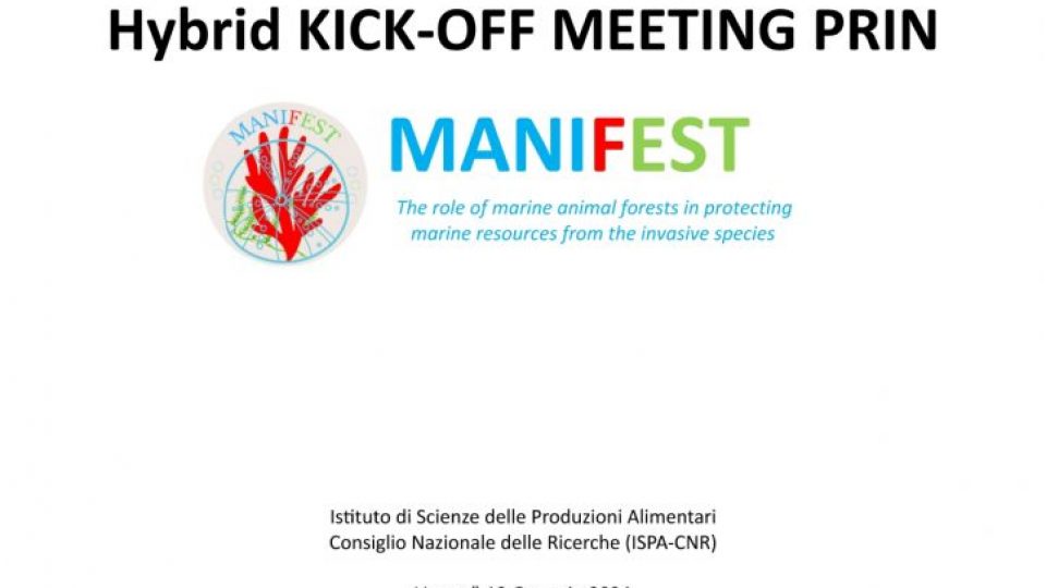 416120405_736855135207583_3296177298990237298_n