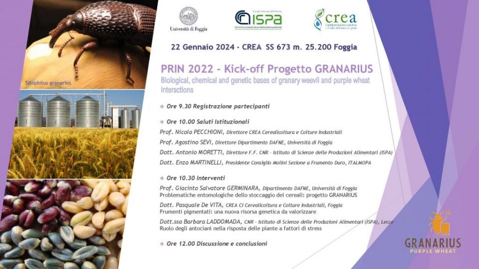 PRIN 2022 – Progetto GRANARIUS_corretto